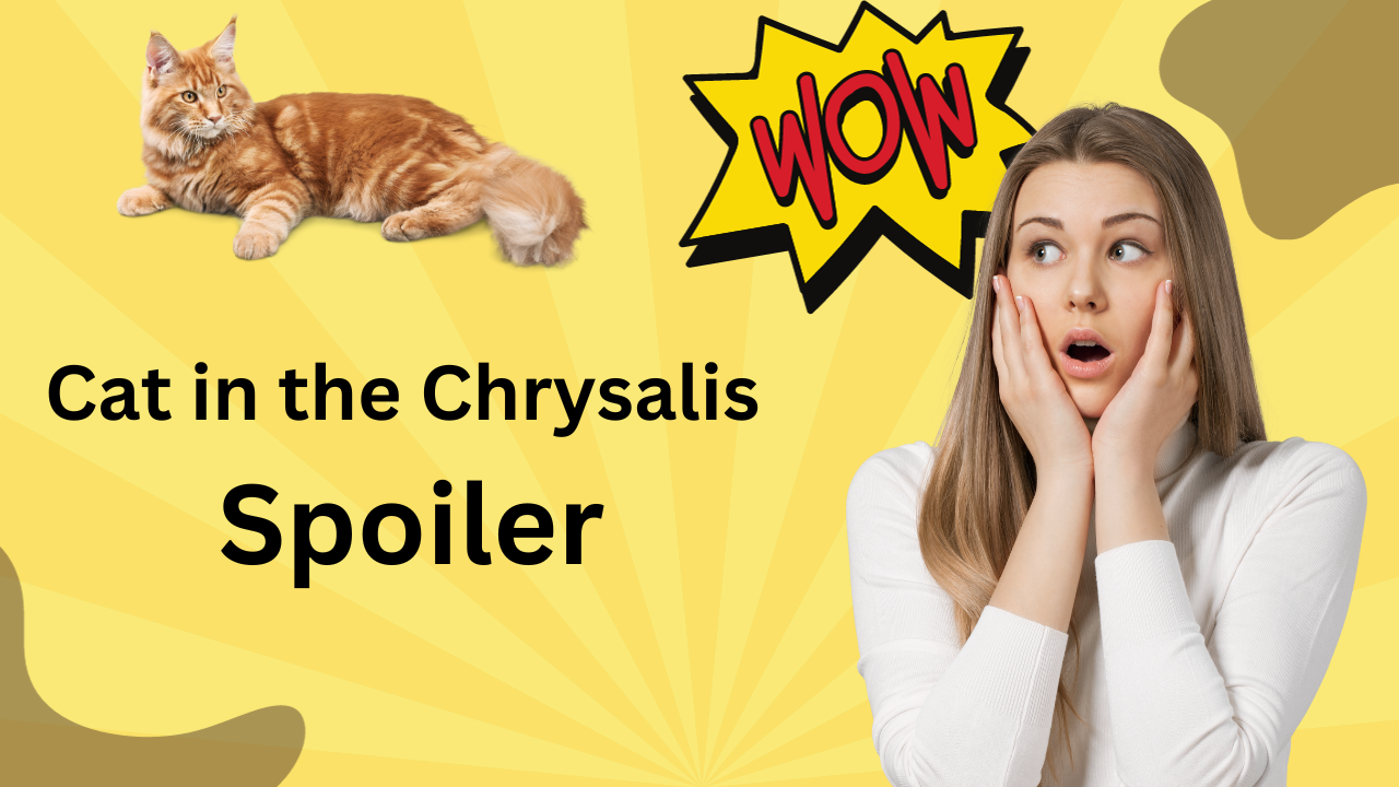 Unraveling the Mysteries: Cat in the Chrysalis Spoiler Explained