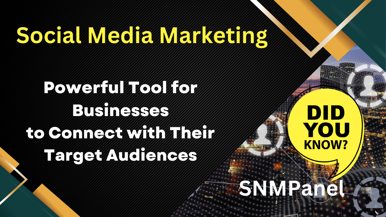 SNMPanel: Revolutionizing Social Media Marketing Strategies