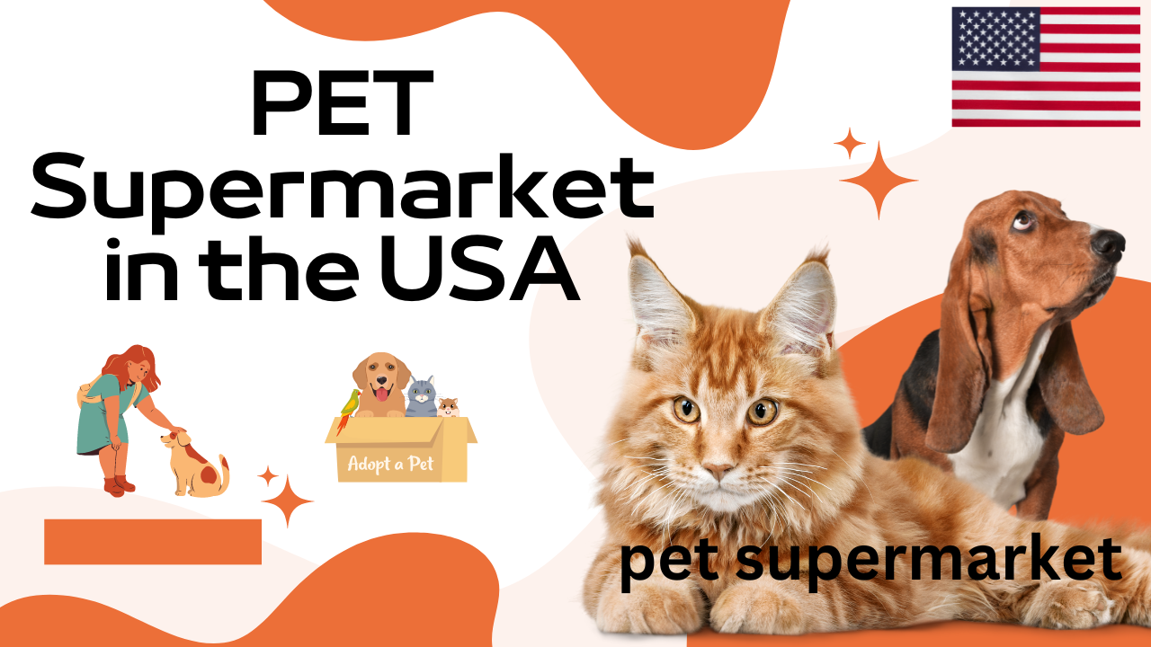 Pet Supermarket in the USA – Top Picks for Pet Parents