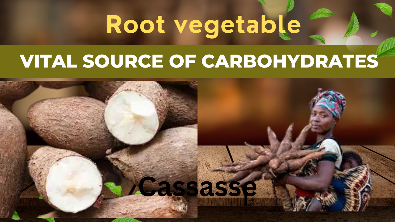 The Culinary Delights of Cassasse: A Versatile Root Vegetable