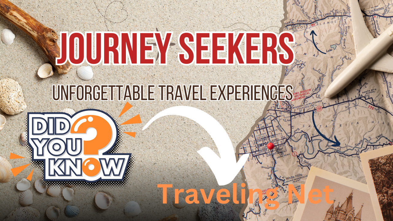 Navigating the World: Exploring the Benefits of the Traveling Net
