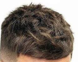 Image of Textured Crop haircut men's 2024