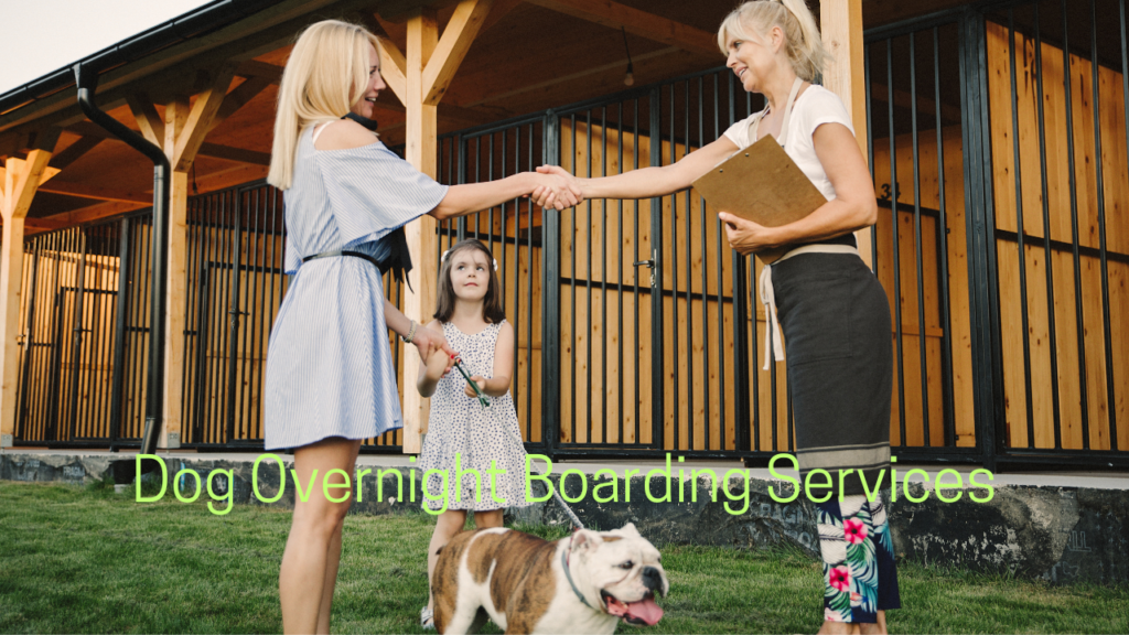 Dog Overnight Boarding Services