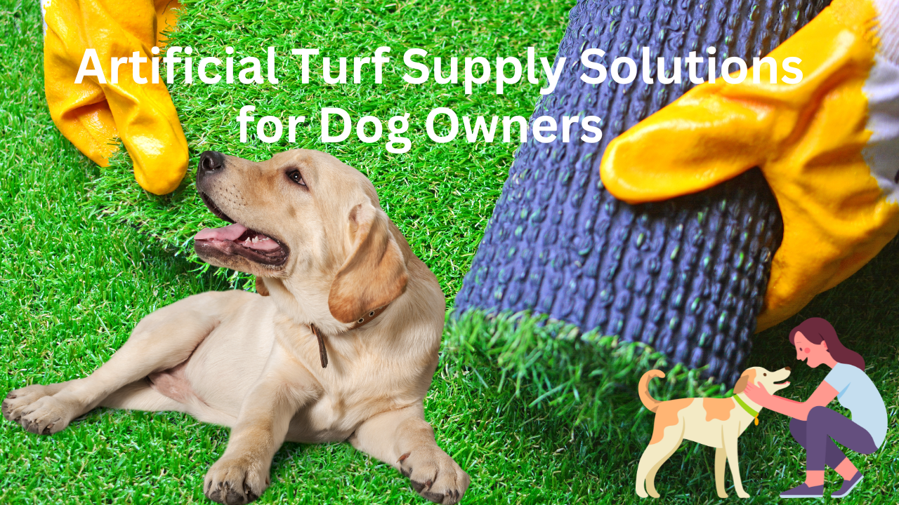 Artificial Turf Supply Solutions for Dog Owners