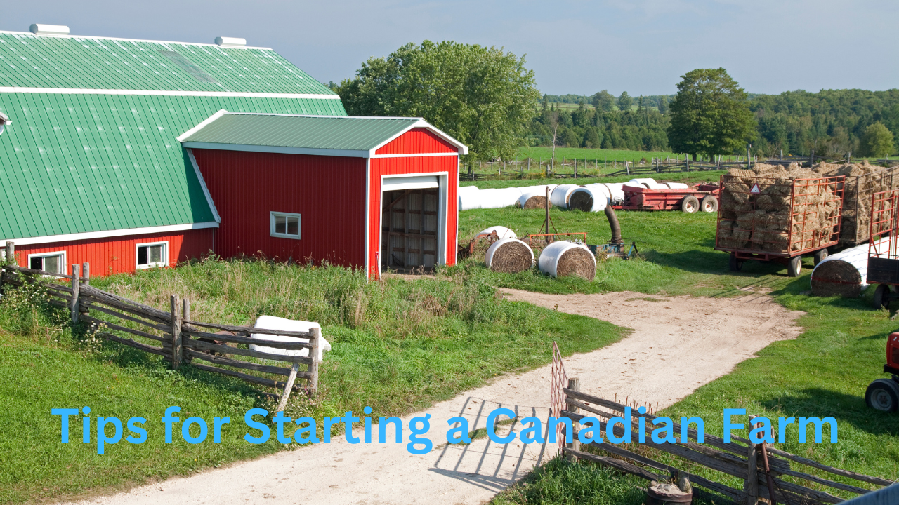 Tips for Starting a Canadian Farm